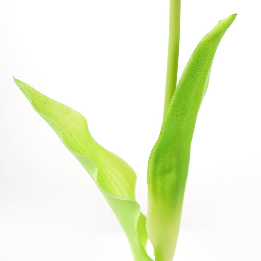Great Price Artificial Silicon Tulip Flowers Real Touch Flowers for Wedding Table Centerpieces Decoration Floral Arrangement