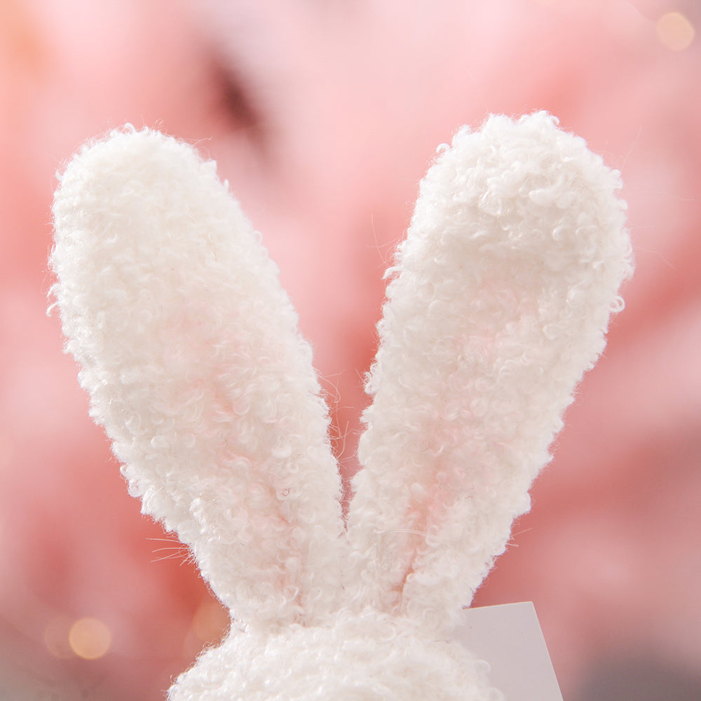 Custom Plush Toy Cute Spring Rabbit Doll Holiday Decoration Personalized Easter Gift Decorations Cartoon Bunny Gnomes