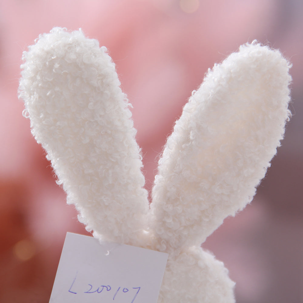 Custom Plush Toy Cute Spring Rabbit Doll Holiday Decoration Personalized Easter Gift Decorations Cartoon Bunny Gnomes