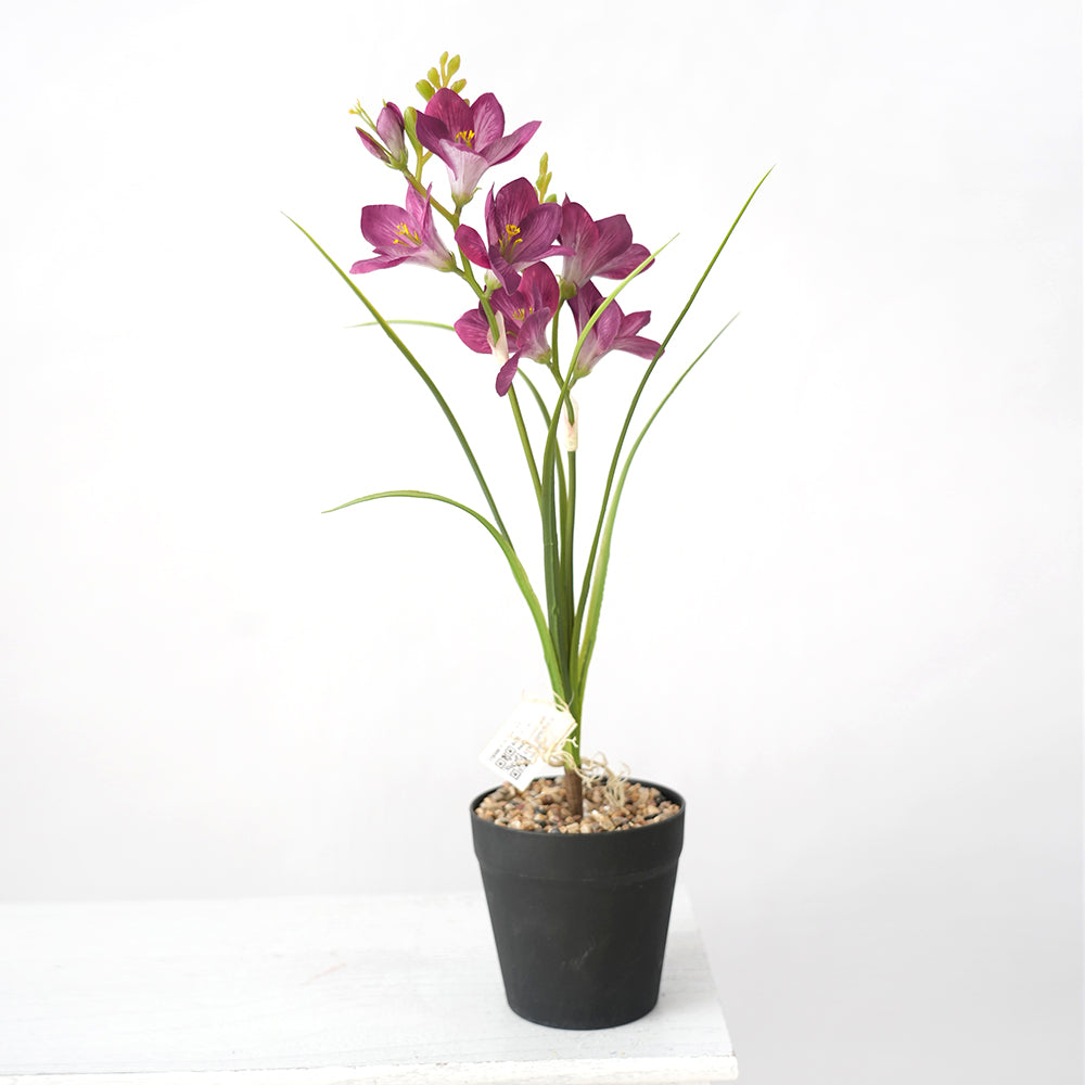 Transworld Artificial Narcissus With POTS Decorate Flowers Plant Potted For Home Hotel Decor