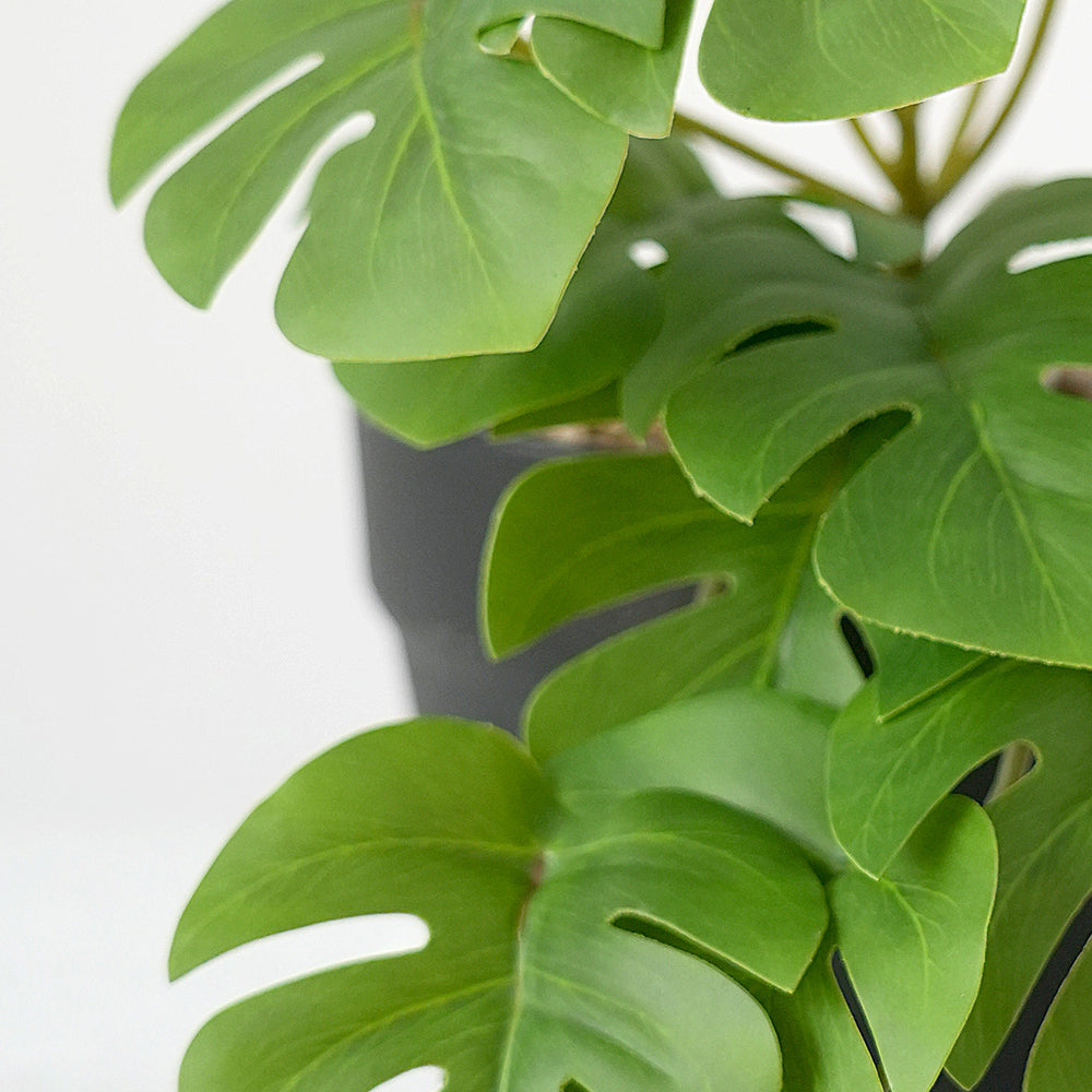 High Quality Lifelike 16 Pieces Artificial Tortoiseshell Leaf Hanging Plants for Home Garden Shop Decoration