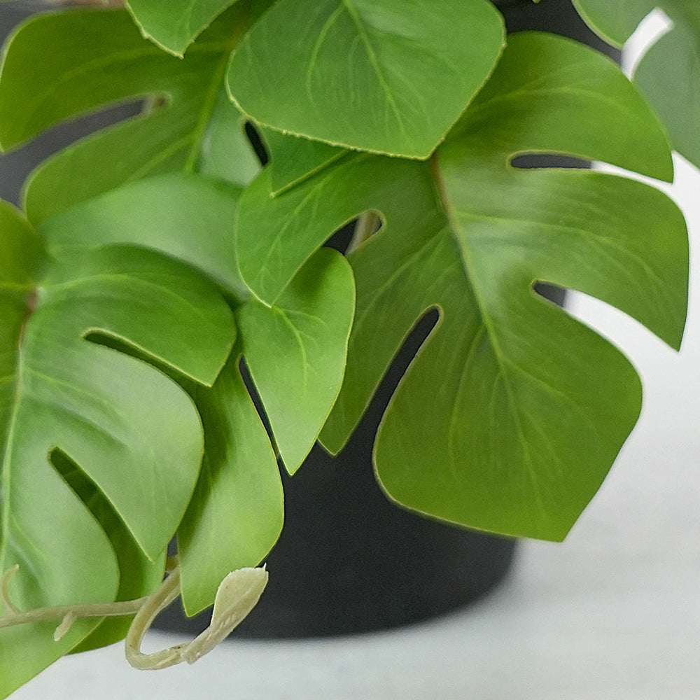 High Quality Lifelike 16 Pieces Artificial Tortoiseshell Leaf Hanging Plants for Home Garden Shop Decoration