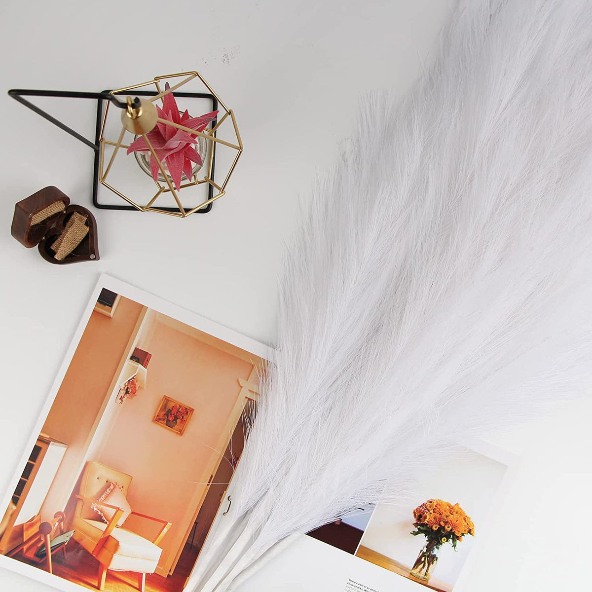 Factory High Quality Pampas Grass Decor 70cm Dried Pampas Cream Color Pampas Gass Wedding Centerpieces Multifunctional Decor