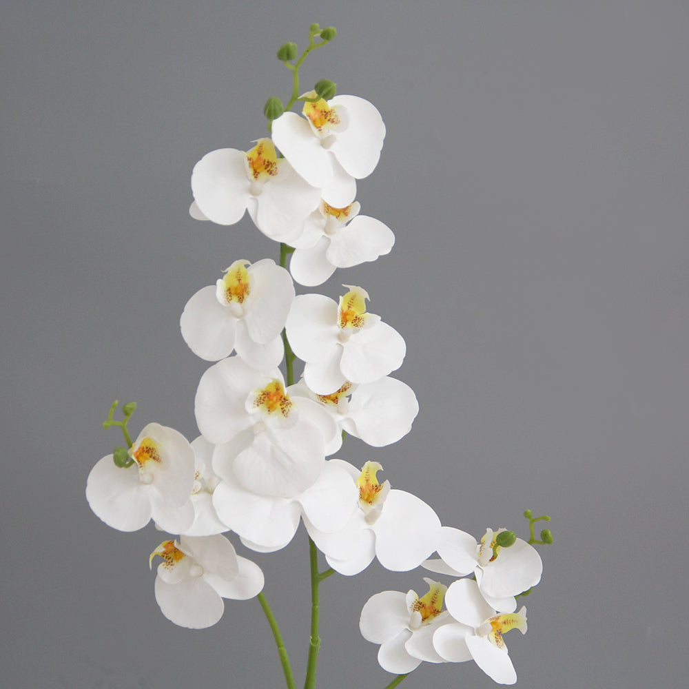 Real Feel 15 Flower Heads 3D Artificial Phalaenopsis Orchid White Butterfly Orchid Phalaenopsis Decor Flower for Home Wedding Floral Arrangement