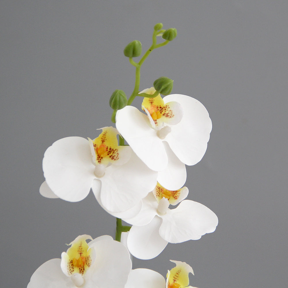 Real Feel 15 Flower Heads 3D Artificial Phalaenopsis Orchid White Butterfly Orchid Phalaenopsis Decor Flower for Home Wedding Floral Arrangement