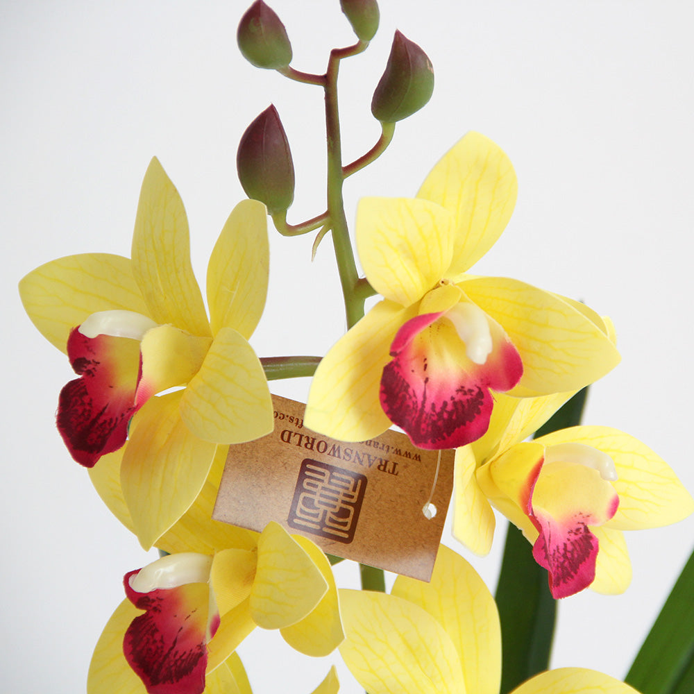 54cm 3D 8 heads cymbidium orchid artificial flower home decoration