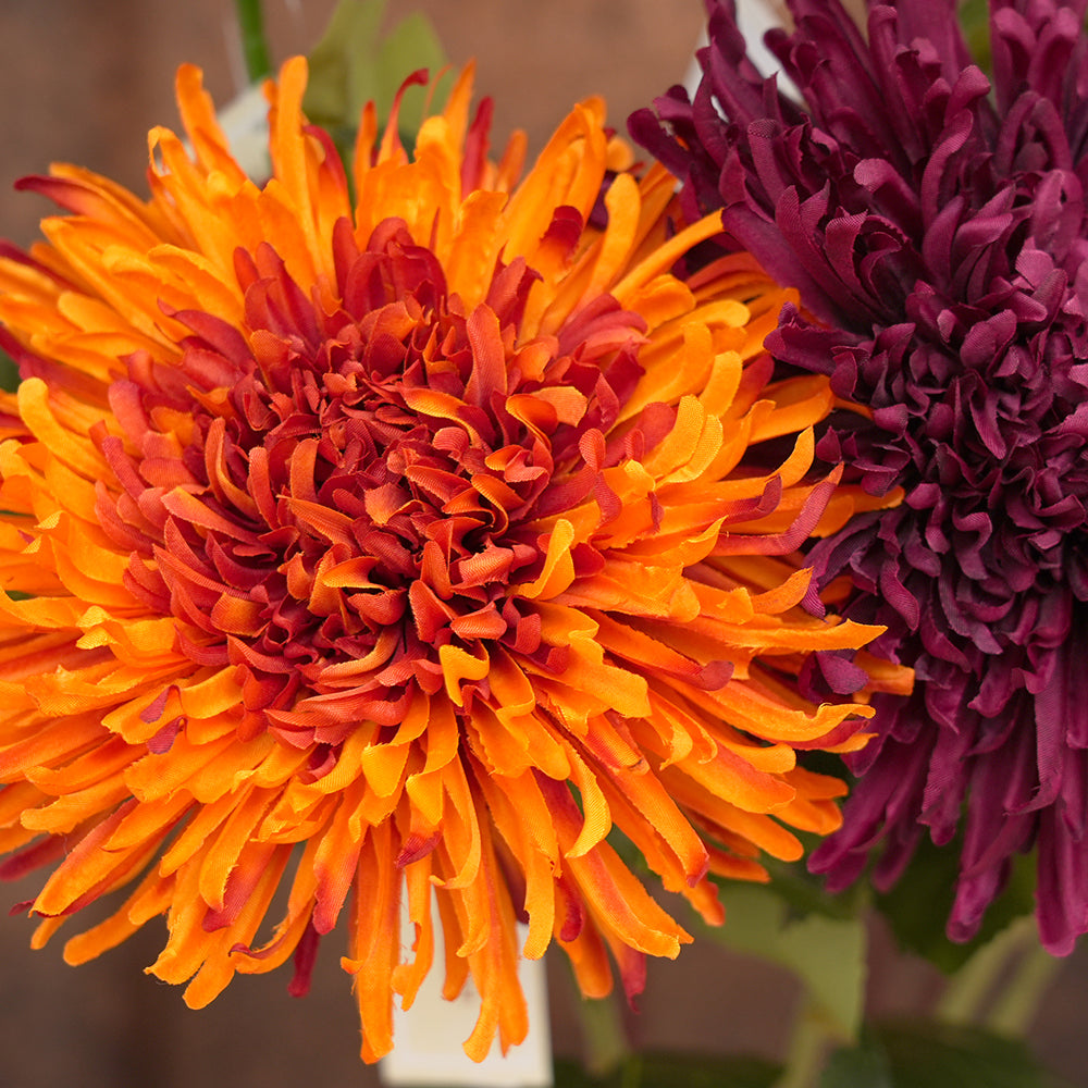 Transworld Gig Head Chrysanthemum Spring/Autumn Decorative Flowers For Home Decorations