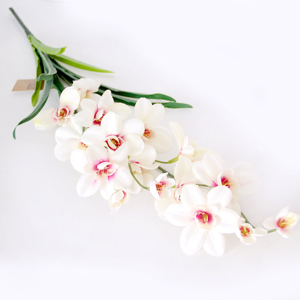 High Simulation 2-Fork Phalaenopsis Flower Real Touch Butterfly Orchid Decor Preserved Plants and Flowers for Mother's Day
