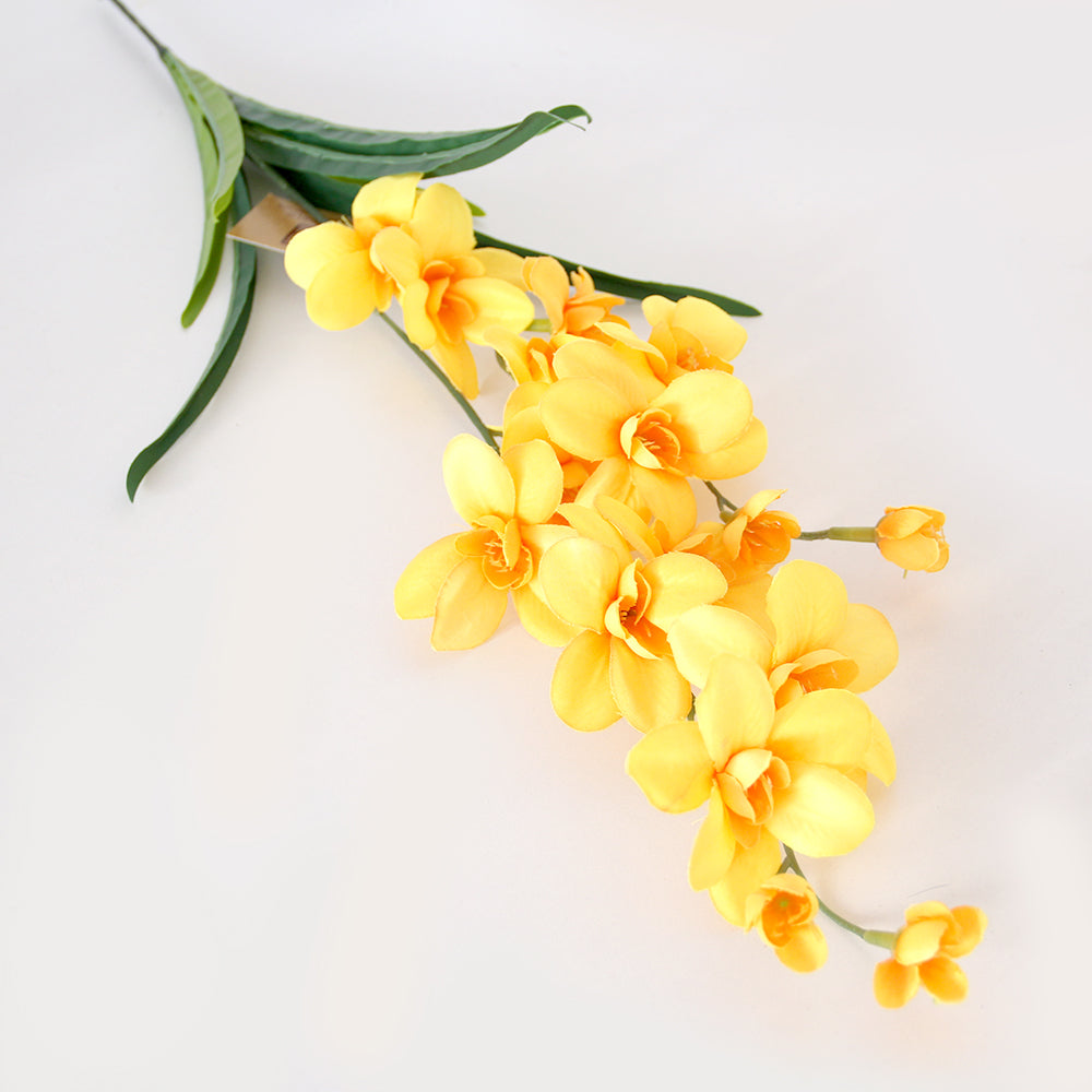 High Simulation 2-Fork Phalaenopsis Flower Real Touch Butterfly Orchid Decor Preserved Plants and Flowers for Mother's Day