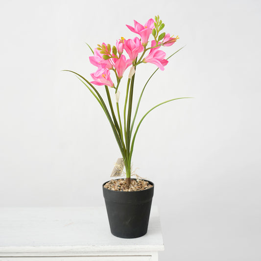 Transworld Artificial Narcissus With POTS Decorate Flowers Plant Potted For Home Hotel Decor