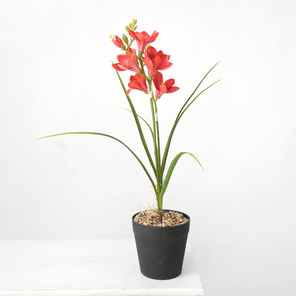 Transworld Artificial Narcissus With POTS Decorate Flowers Plant Potted For Home Hotel Decor