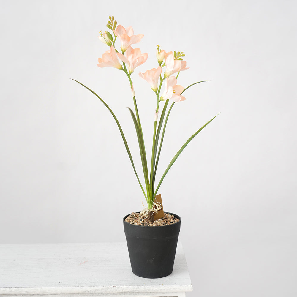 Transworld Artificial Narcissus With POTS Decorate Flowers Plant Potted For Home Hotel Decor