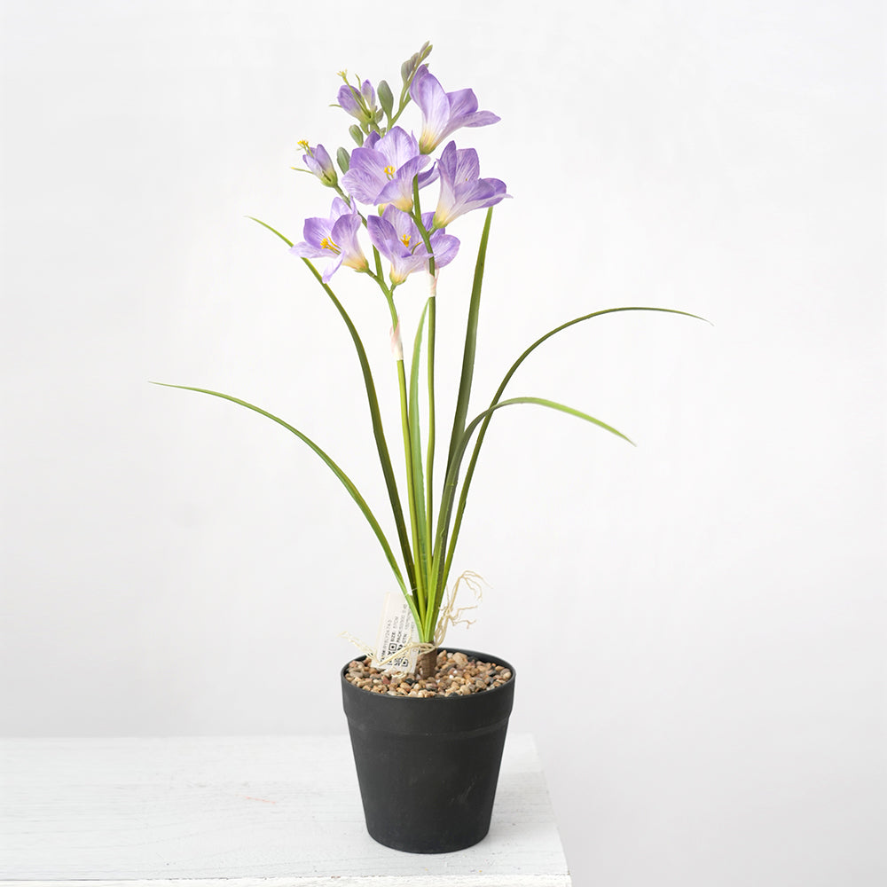 Transworld Artificial Narcissus With POTS Decorate Flowers Plant Potted For Home Hotel Decor