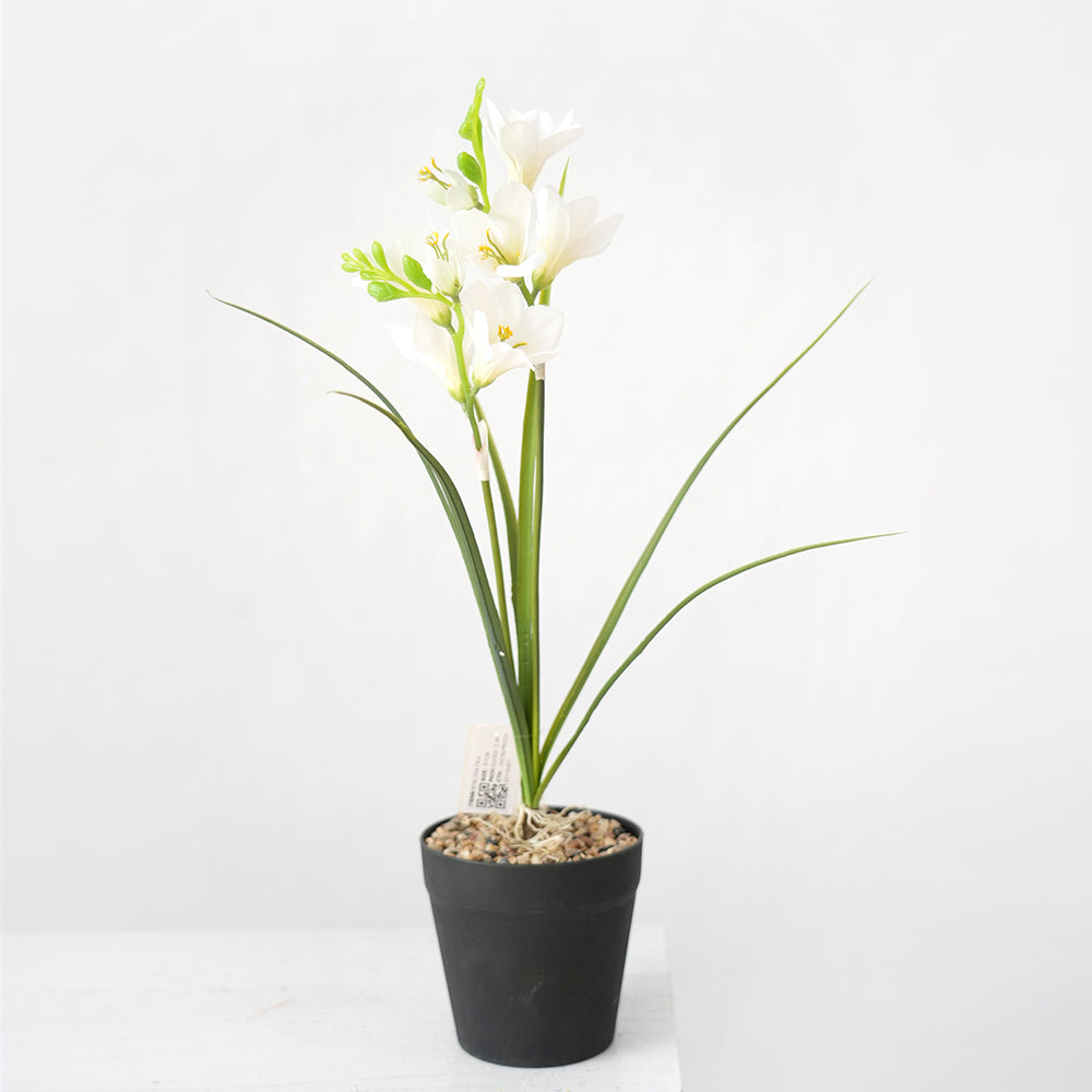 Transworld Artificial Narcissus With POTS Decorate Flowers Plant Potted For Home Hotel Decor
