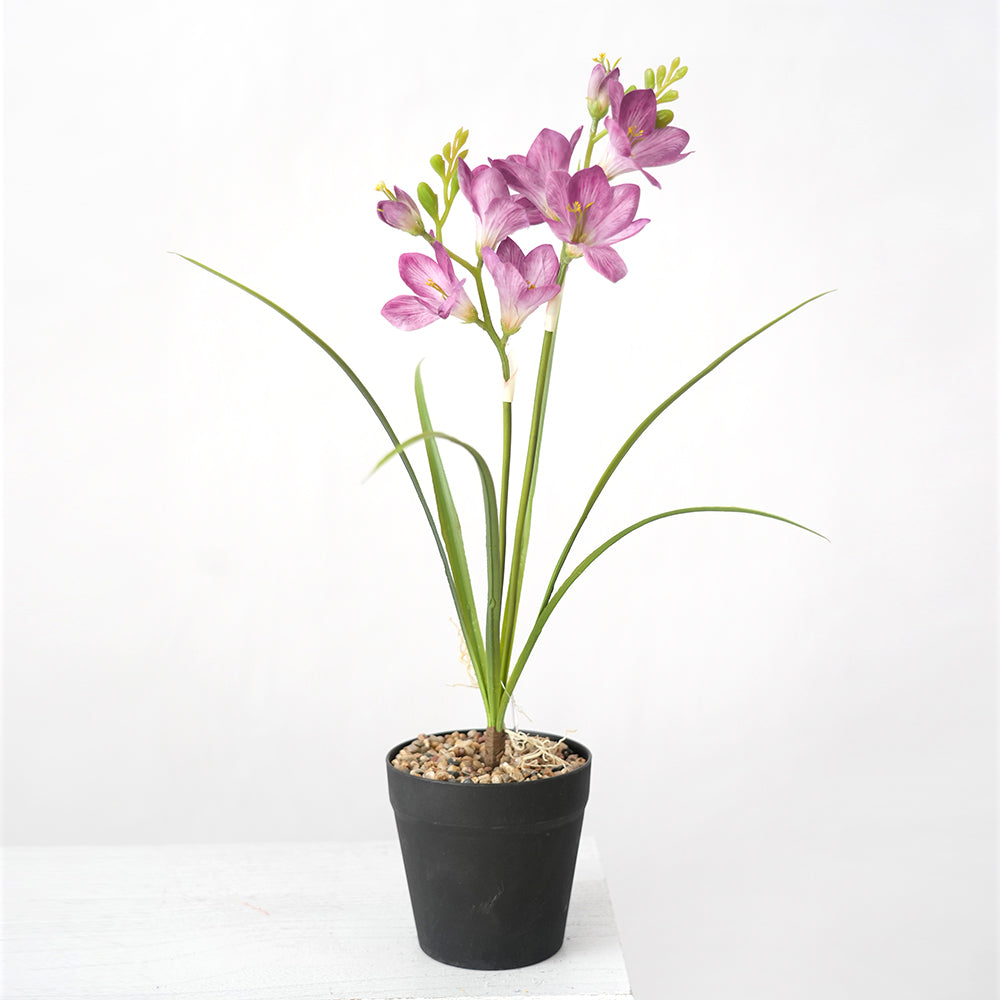 Transworld Artificial Narcissus With POTS Decorate Flowers Plant Potted For Home Hotel Decor