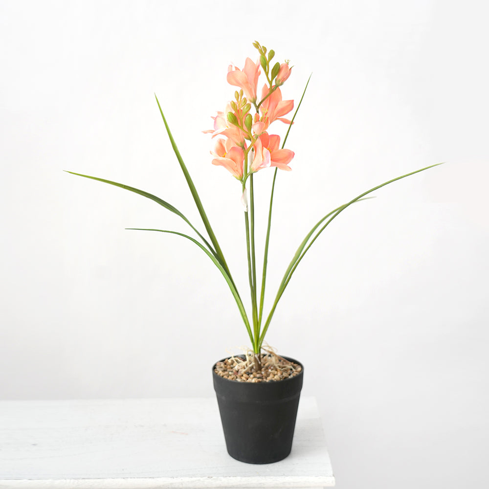 Transworld Artificial Narcissus With POTS Decorate Flowers Plant Potted For Home Hotel Decor