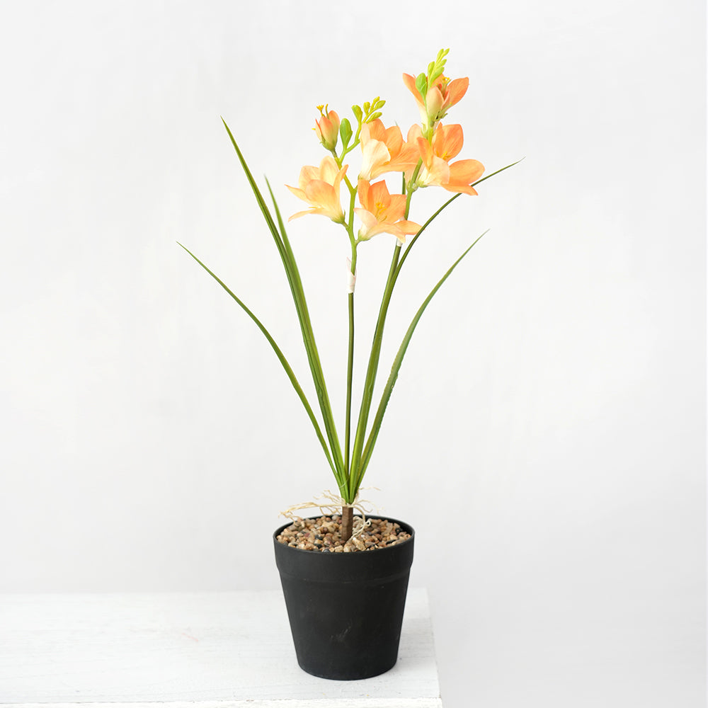 Transworld Artificial Narcissus With POTS Decorate Flowers Plant Potted For Home Hotel Decor