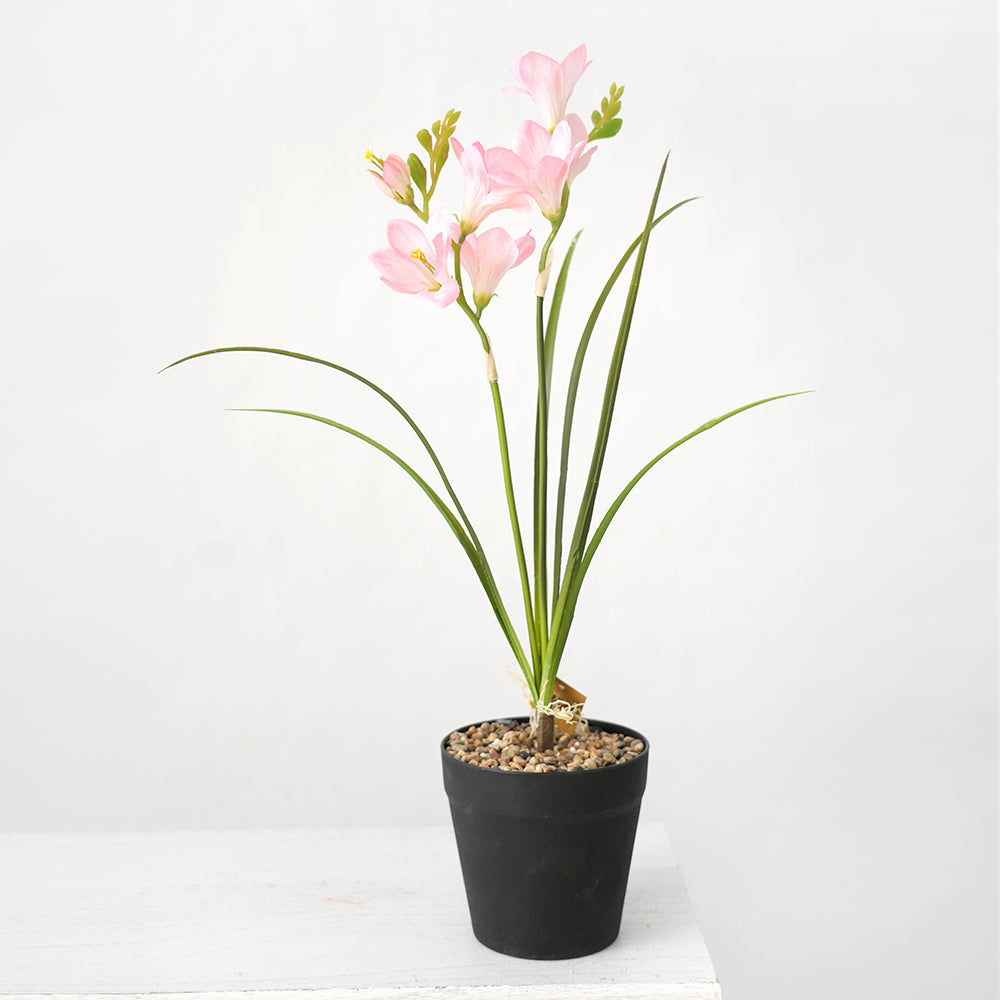 Transworld Artificial Narcissus With POTS Decorate Flowers Plant Potted For Home Hotel Decor
