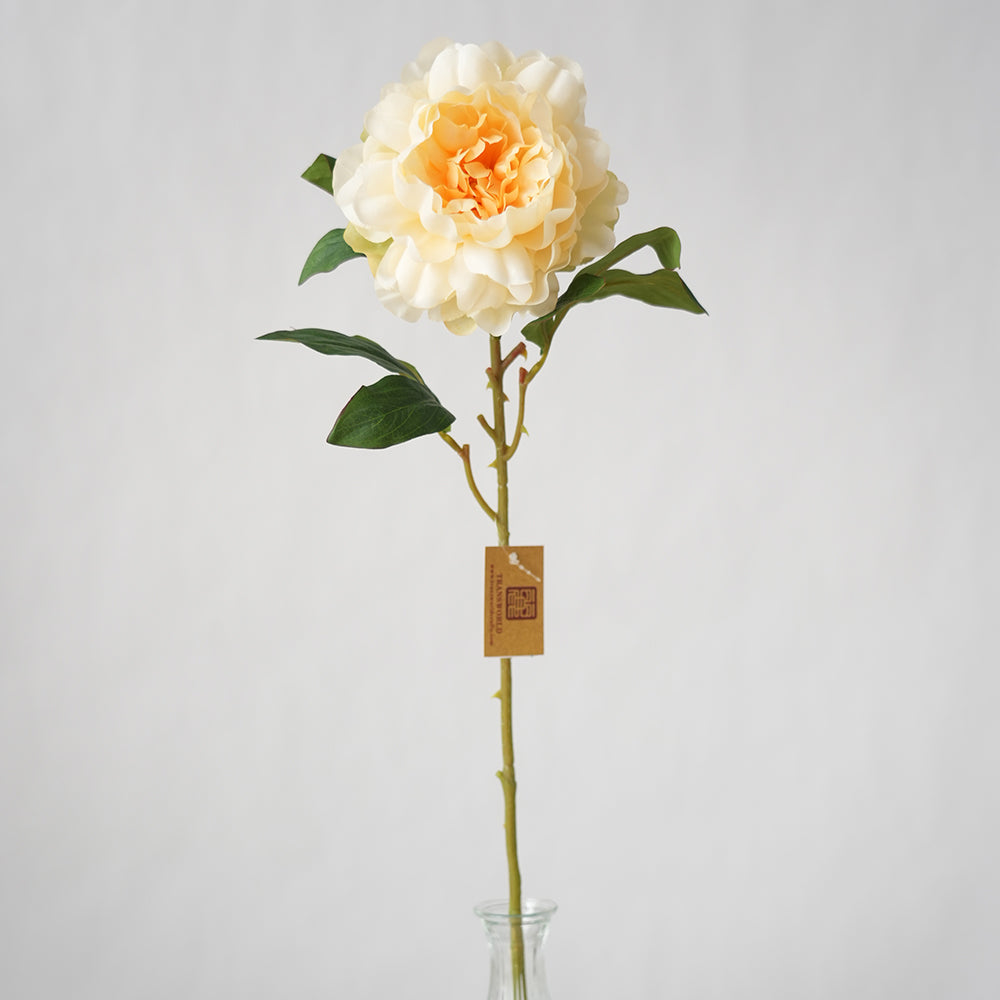 Wholesale Single Branches Artificial Peony Silk Flowers Peony Decorative Flowers for Wedding Home Decoration