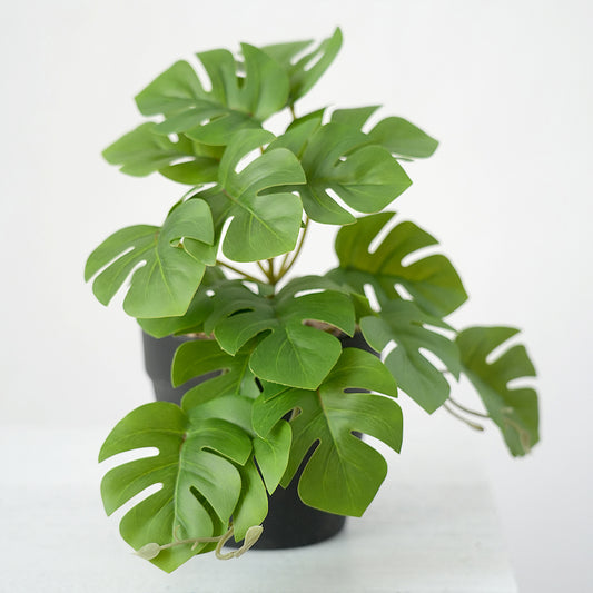 High Quality Lifelike 16 Pieces Artificial Tortoiseshell Leaf Hanging Plants for Home Garden Shop Decoration