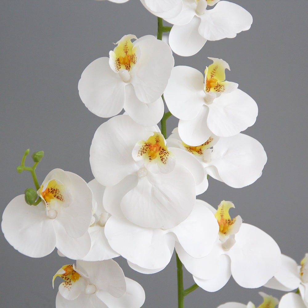 Real Feel 15 Flower Heads 3D Artificial Phalaenopsis Orchid White Butterfly Orchid Phalaenopsis Decor Flower for Home Wedding Floral Arrangement
