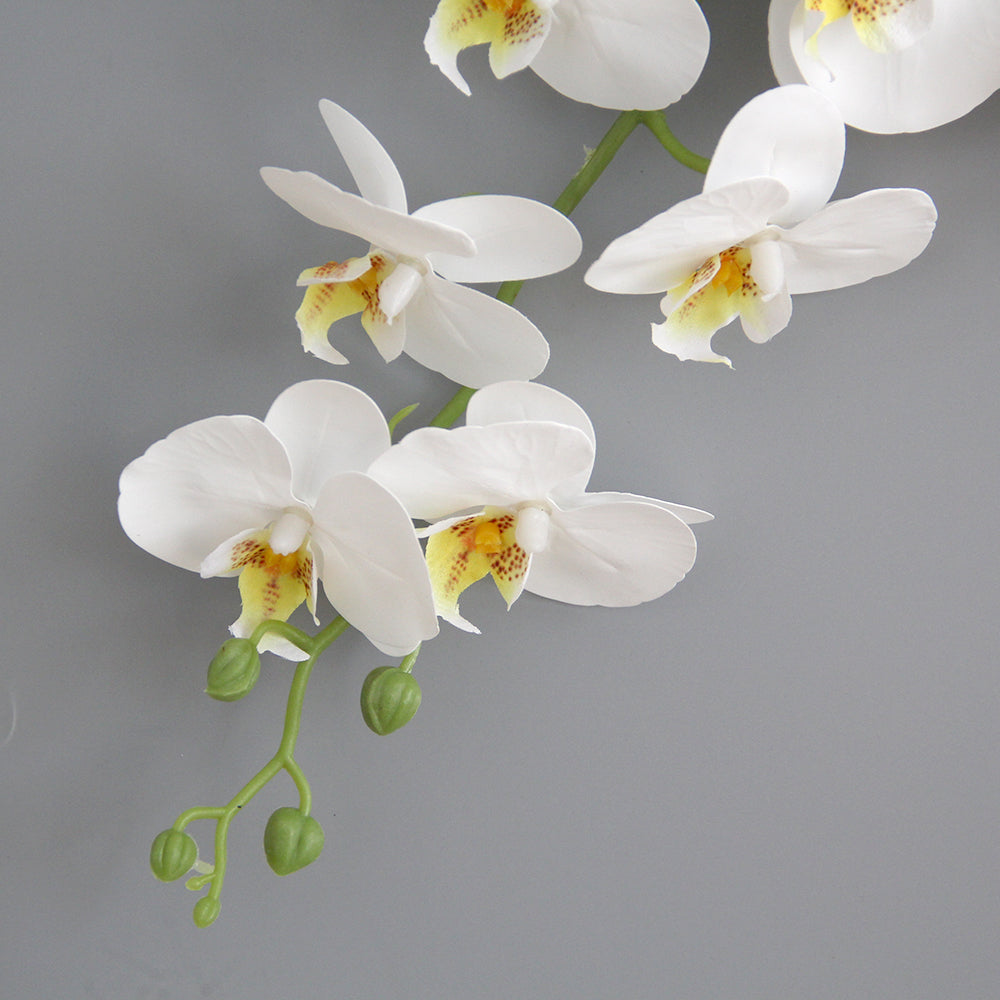Real Feel 15 Flower Heads 3D Artificial Phalaenopsis Orchid White Butterfly Orchid Phalaenopsis Decor Flower for Home Wedding Floral Arrangement
