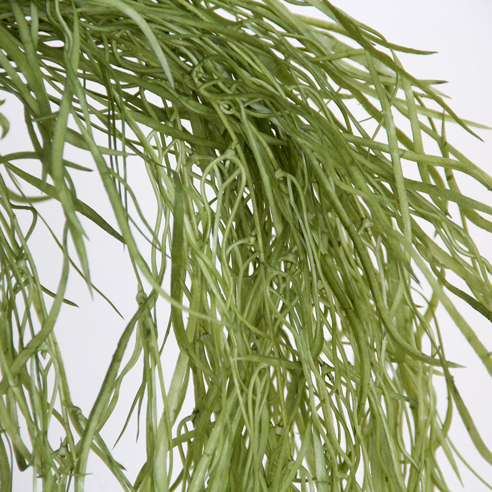 Transworld 47inch Seaweed Artificial Flower Decorative Flower Plants for Home Hotel Decoration