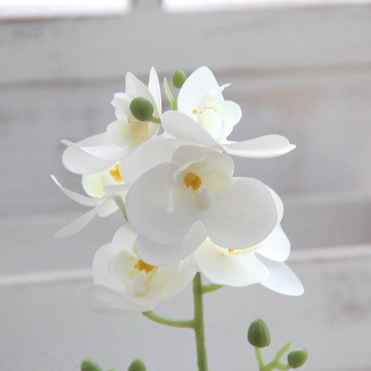 High Quality 3D 5heads Phalaenopsis Mini Artificial Flowers Orchid for Wedding Home Decoration